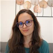 Insegnante con esperienza pluriennale impartisce lezioni online o in presenza a Lucca